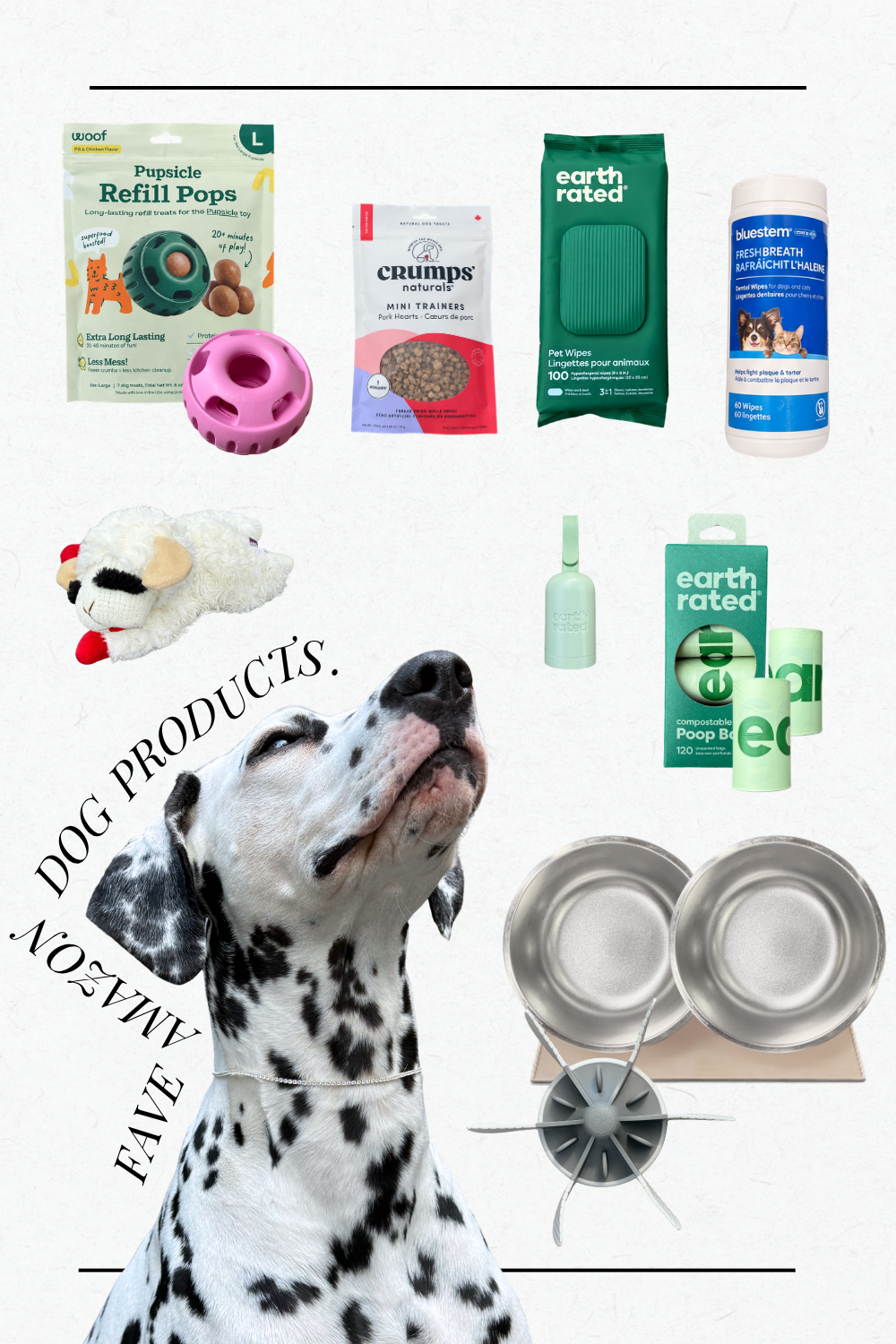 amazon pet (1)